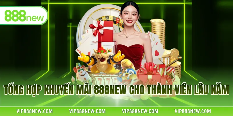Tổng hợp khuyến mãi 888NEW cho thành viên lâu năm